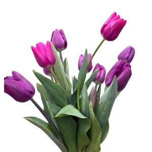 Ramo Clásico. 10 varas de tulipanes