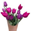 Diseño sin título (2) Ramo Especial. 15 varas de tulipanes