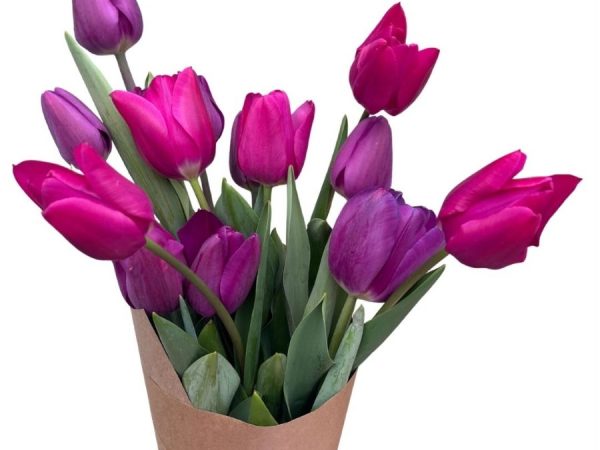 Ramo Clásico. 10 varas de tulipanes